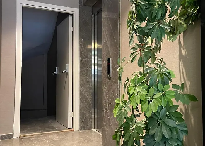 Mery Provincia di Istanbul